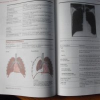 Medical terminology. The Language of Health Care., снимка 4 - Енциклопедии, справочници - 40695366