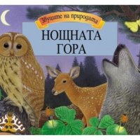Панорамна книжка "Нощната гора", снимка 1 - Детски книжки - 36724855