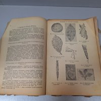 "Складови насекоми в България и борбата с тях" 1939 г, снимка 3 - Други - 42908074