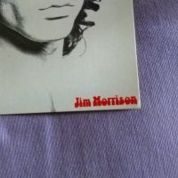 Jim morrison -Doors картички 15X10.5cm-2 броя, снимка 4 - Колекции - 33742336