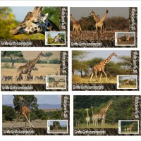 Чисти блокове Фауна Жирафи 2020 от Тонго, снимка 1 - Филателия - 37602955