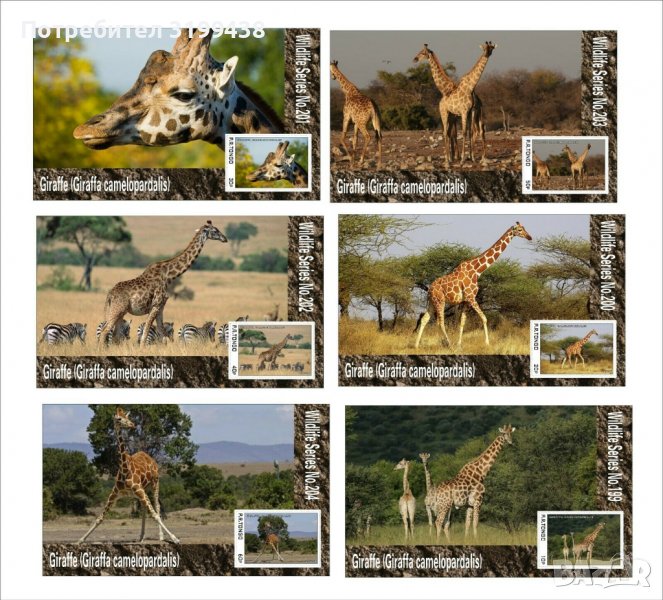 Чисти блокове Фауна Жирафи 2020 от Тонго, снимка 1