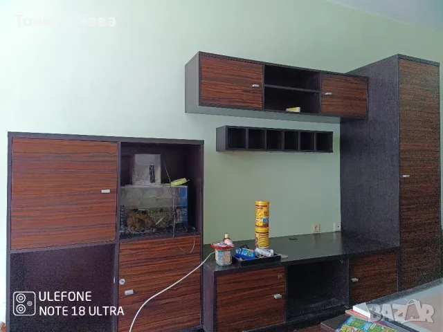 Секция, снимка 1