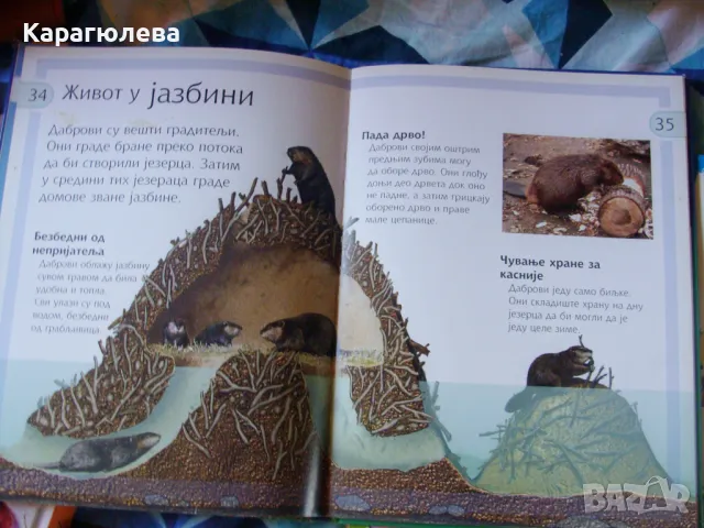 Детски книги на сръбски език, снимка 5 - Други - 44213164