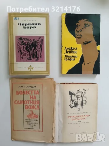 Спасителят в ръжта - Джеръм Селинджър (1965), снимка 2 - Художествена литература - 56267568