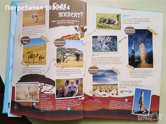 Колекционерски албум на Билла, снимка 4 - Колекции - 31797251