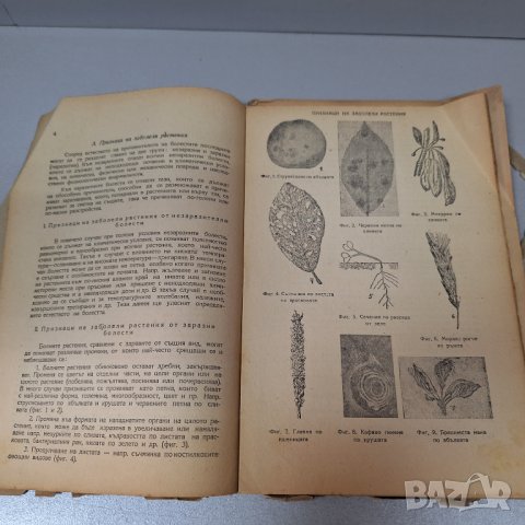 "Складови насекоми в България и борбата с тях" 1939 г, снимка 3 - Други - 42908074