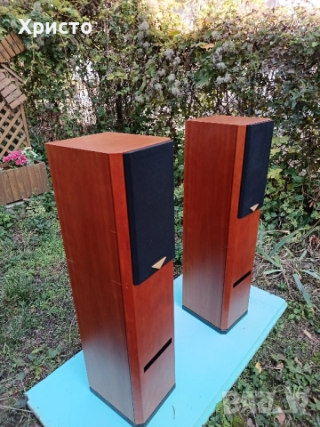 Тонколони Hi-End Usher V-602, снимка 5 - Тонколони - 52171299