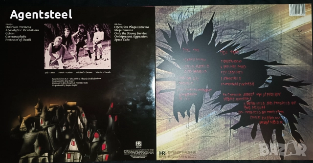 Грамофонни плочи на PROTECTOR, снимка 2 - Грамофонни плочи - 52451406