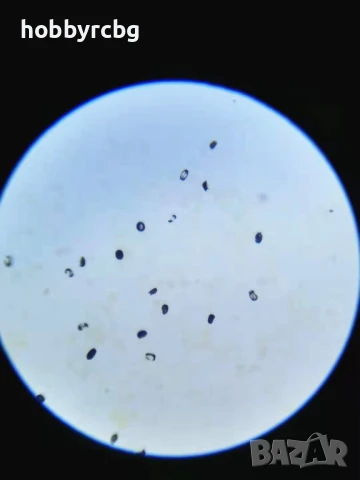 Професионален биологичен бинокулярен микроскоп 40х-1600х за STEM кабинети, училища, научни дейности, снимка 5 - Медицинска апаратура - 50769392