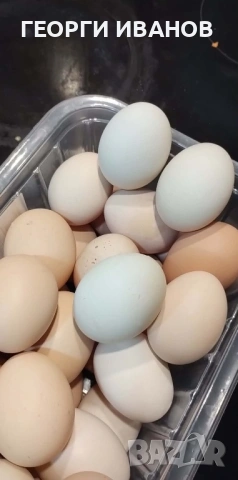 Домашни яйца, снимка 2 - Домашни продукти - 54176108