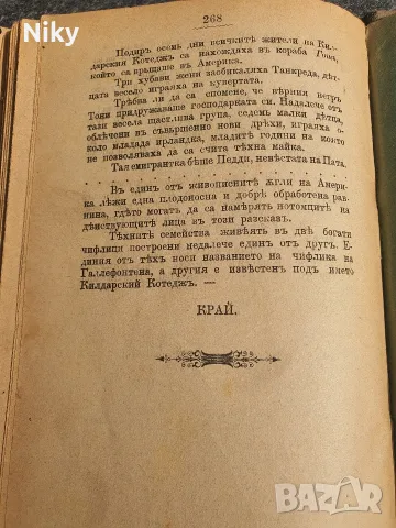 Рядка старопечатна книга „Отмъстителъ“ (1886 г.), изд. Силистра – Библиографска ценност, снимка 7 - Антикварни и старинни предмети - 55941593