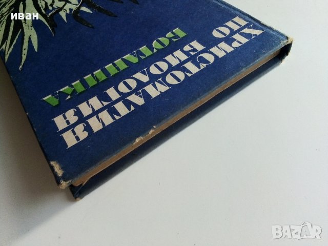 Христоматия по Биология - Ботаника том2 - 1985г., снимка 15 - Други - 38038328