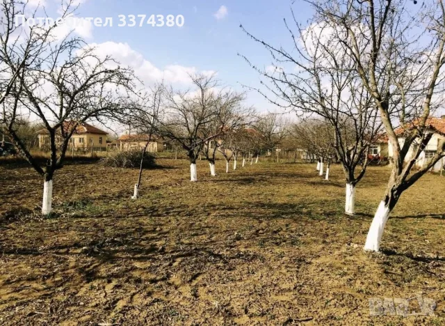 Имот - УПИ с. Комощица, снимка 4 - Парцели - 56451918