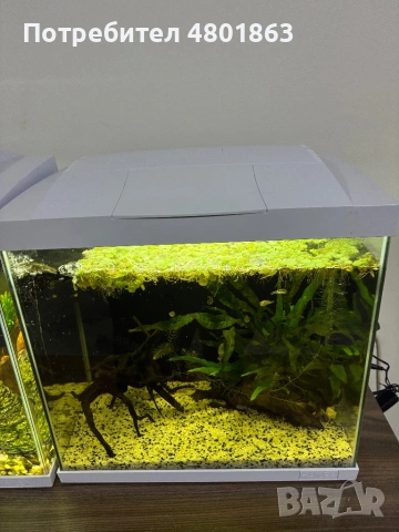 2бр оборудвани и готови аквариума !!!, снимка 3 - Аквариуми - 54359633