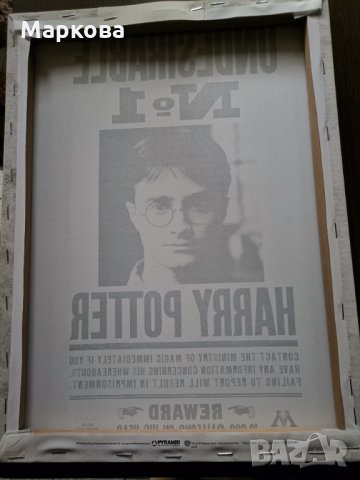 Колекция Harry Potter , снимка 4 - Колекции - 33951183