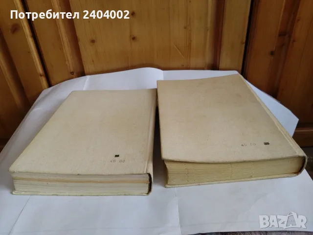 Английско-български речници в два тома, снимка 3 - Чуждоезиково обучение, речници - 55776250