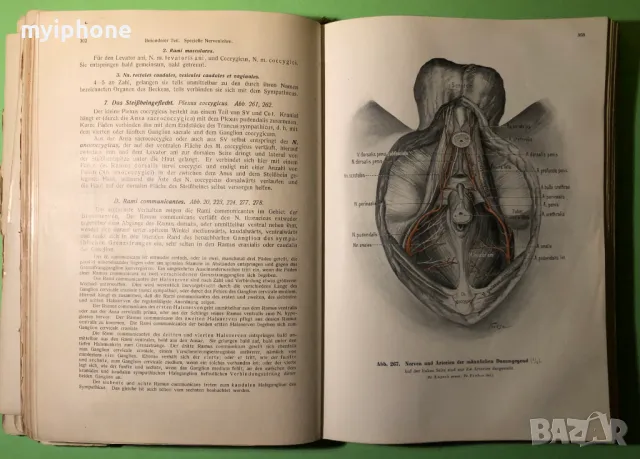 Стара Книга Анатомия ма Човека /Rauber Kopsch, снимка 13 - Специализирана литература - 49218517