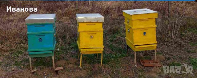 пчелен кошер, снимка 2 - За пчели - 44208494