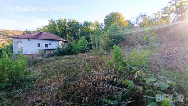 Парцел в Самоводене , снимка 16 - Парцели - 55504792