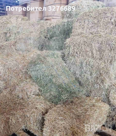 Малки бали люцерна