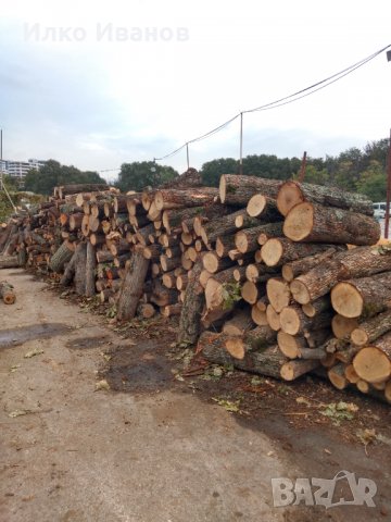 ДЪРВА ЗА ОГРЕВ ОТ ДЪБ И ЦЕР-300 ЛВ. ЗА ТОН GSM 0896617832, снимка 9 - Други стоки за дома - 29219528