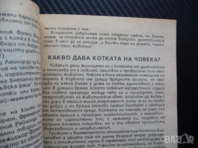 Знаете ли всичко за котката Веселин Денков котета котки мишки домашни любимци храна грижи, снимка 2 - Други - 50972241