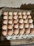 Оплодени яйца от кокошки, кокоши яйца, яйца за Великден , снимка 1