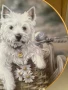 Колекционерска чиния от серия “Westies”., снимка 4