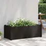 vidaXL Градинска висока леха, PP, антрацит, 100x43x35 см, снимка 2