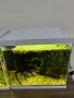 2бр оборудвани и готови аквариума !!!, снимка 3