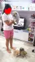 Чистокръвни мини померанчета, снимка 3