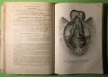 Стара Книга Анатомия ма Човека /Rauber Kopsch, снимка 13