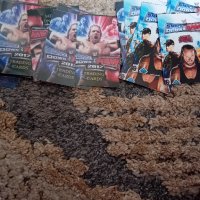 WWE карти, снимка 2 - Колекции - 42341525