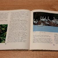 Биосферни резервати в България-1986г-енциклопедия, снимка 5 - Енциклопедии, справочници - 42780994