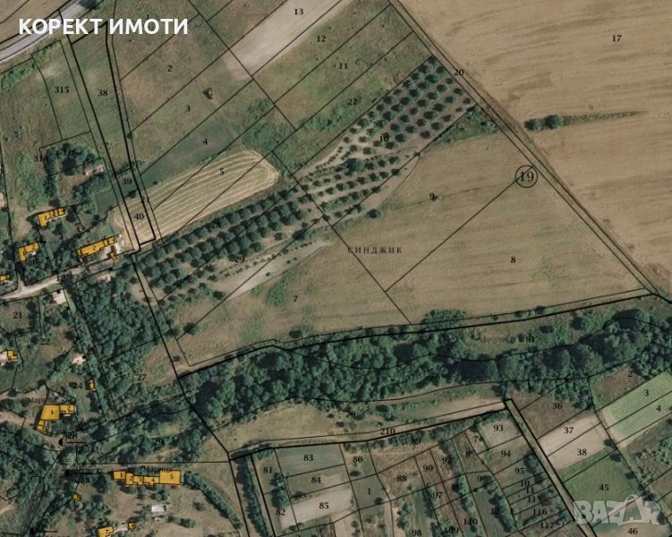 Продава орехова градина в село Избул, общ. Нови Пазар, снимка 1