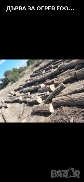 предлагам дърва за огрев метровки акация салкъм дървата са едри едри доставям до адрес 95лв 08959774, снимка 1
