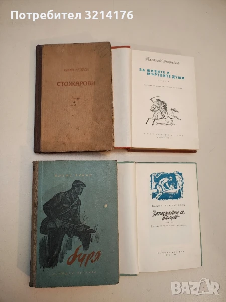 Буря - Вилис Лацис, снимка 1