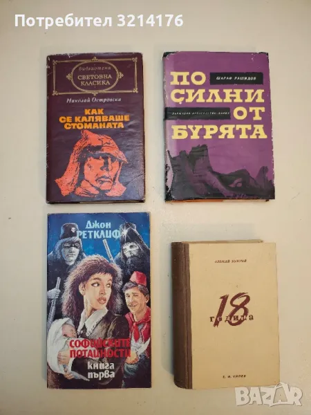   Как се каляваше стоманата - Николай Островски (Библиотека „Световна класика“), снимка 1