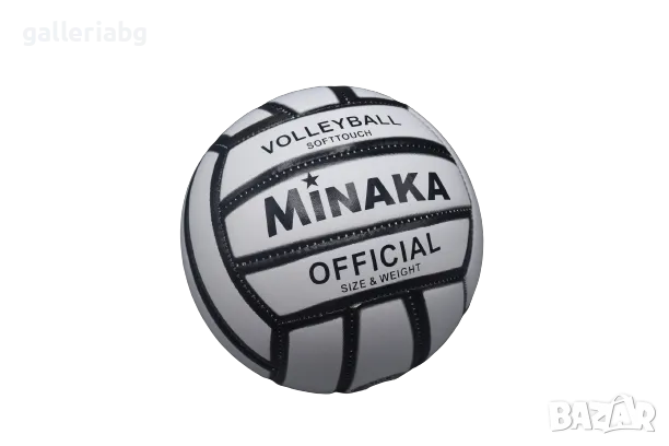 Волейболна топка, снимка 1