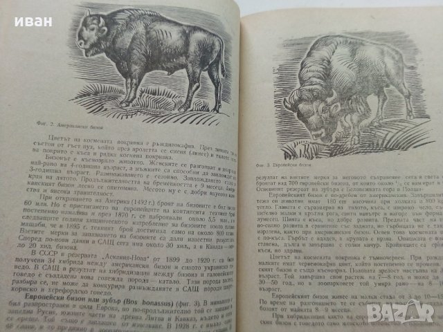 Животновъдство - Д.Димитров,П.Цонев - 1974 г., снимка 6 - Специализирана литература - 30444258
