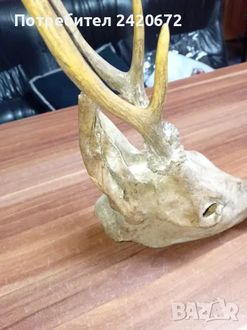 глава сърандак с рогца, снимка 6 - Други ценни предмети - 48278830