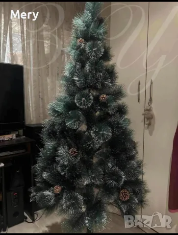Елха естествено зелена с шишарки , снимка 3 - Декорация за дома - 56493966