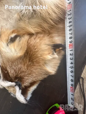 естествена кожа с косъм , снимка 13 - Други стоки за дома - 50078309