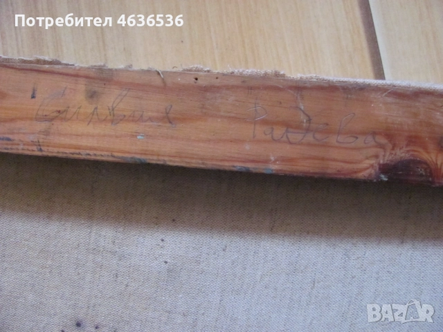 Красива Картина масло, платно ,художник Силвия Радева, снимка 6 - Картини - 52573752
