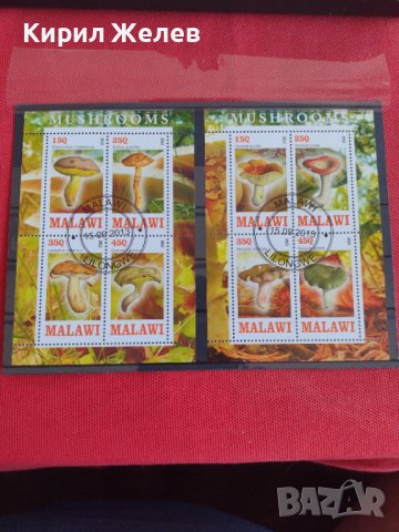 Пощенски марки чиста комплектна серия ГЪБИ 2013г. поща Малави за колекция 29802