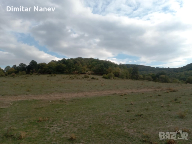 Продавам нива, с. Змейово, област Стара Загора, снимка 5 - Земеделска земя - 52054903