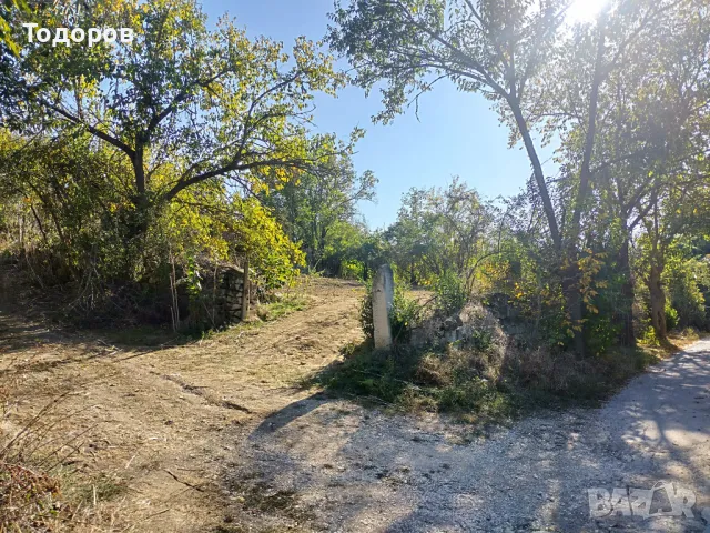 Дворно място в село Червен, обл. Русе