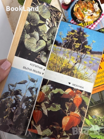 Много книги за билки. Всяка по 5 лв. , снимка 10 - Други - 51961659