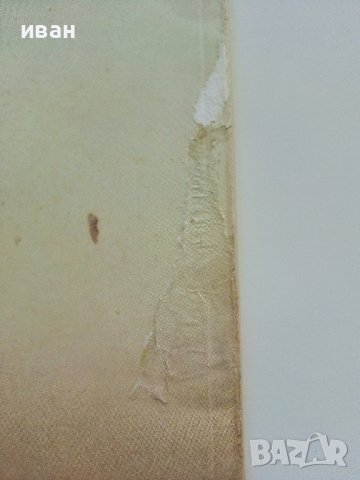 Фотография - П.Хоксби,Д.Чизъм - 1986г., снимка 11 - Други - 38353970